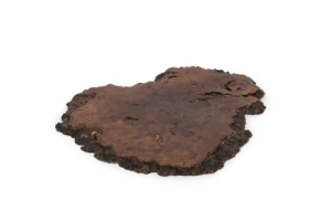 Plateau décoratif de ronce de bois noueux à patine brun foncé, destiné à accueillir un bonsaï.