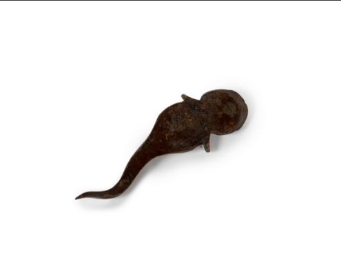 Capture d’écran 2025-06-19 à 13.18.02