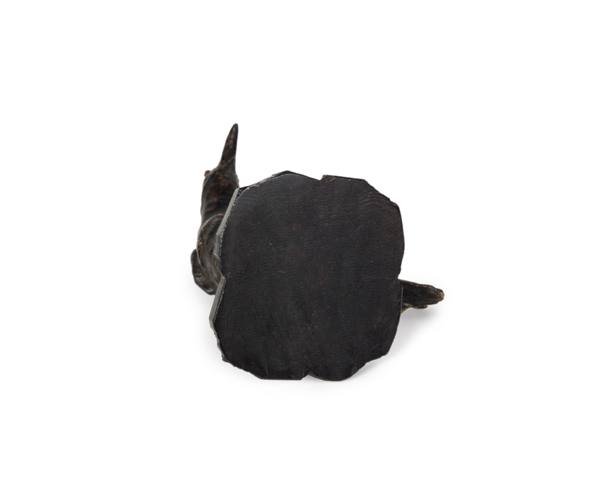 2025-1387 CORBEAU BOIS 5