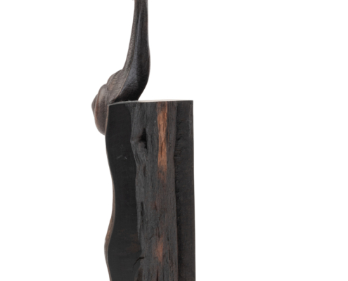 2025-1441 ESCARGOT EN BOIS (5)