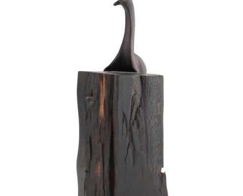 2025-1441 ESCARGOT EN BOIS (6)