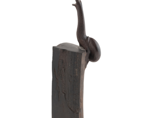 2025-1441 ESCARGOT EN BOIS (7)