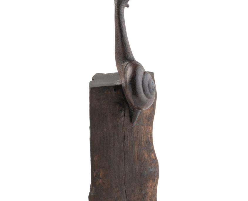 2025-1441 ESCARGOT EN BOIS (8)