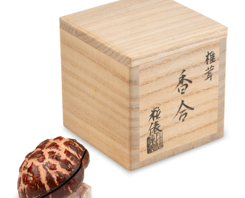 2026-1499 KOBAKO CHAMPIGNON (1)