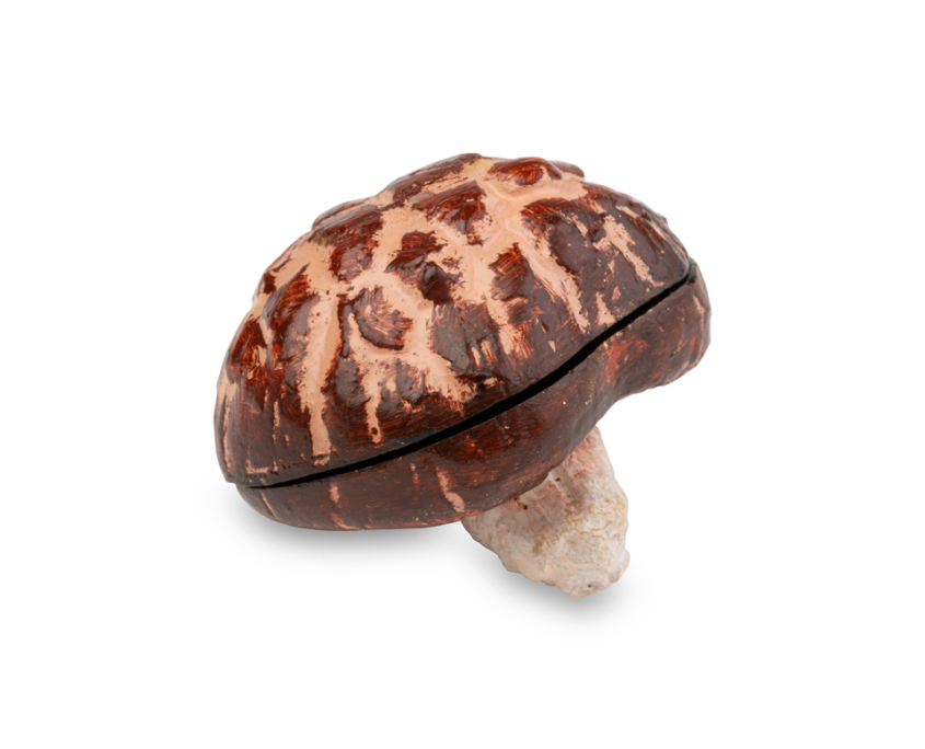 2026-1499 KOBAKO CHAMPIGNON (2)