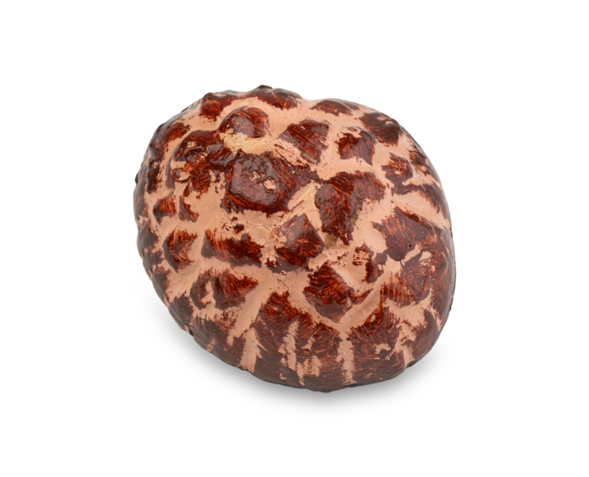 2026-1499 KOBAKO CHAMPIGNON (3)