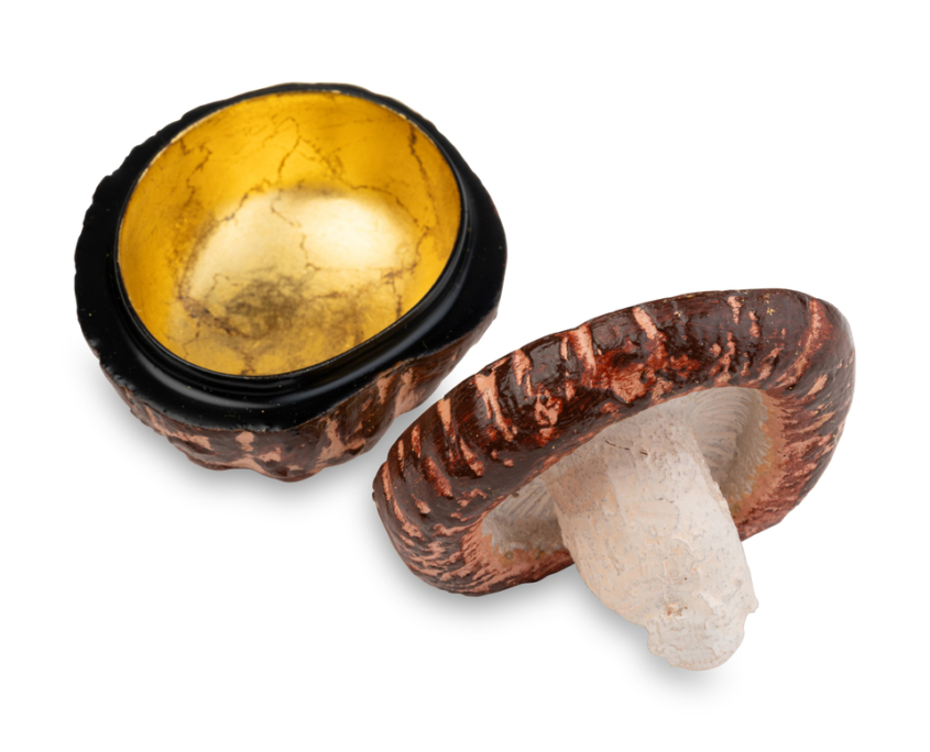 2026-1499 KOBAKO CHAMPIGNON (4)