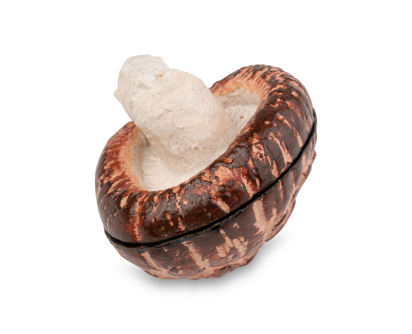 2026-1499 KOBAKO CHAMPIGNON (6)