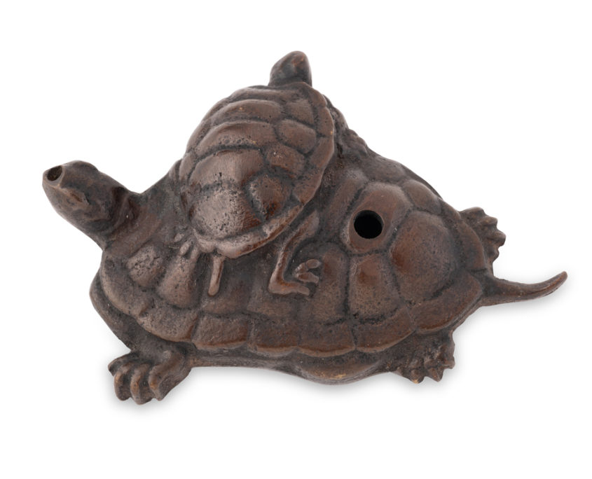 2026-1507 SUITEKI TORTUES (1)
