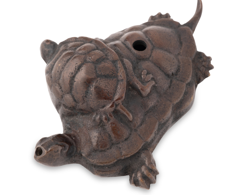 2026-1507 SUITEKI TORTUES (2)