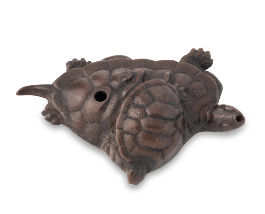 2026-1507 SUITEKI TORTUES (3)