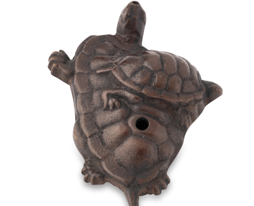 2026-1507 SUITEKI TORTUES (4)