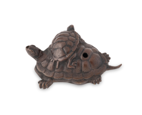 2026-1507 SUITEKI TORTUES (5)