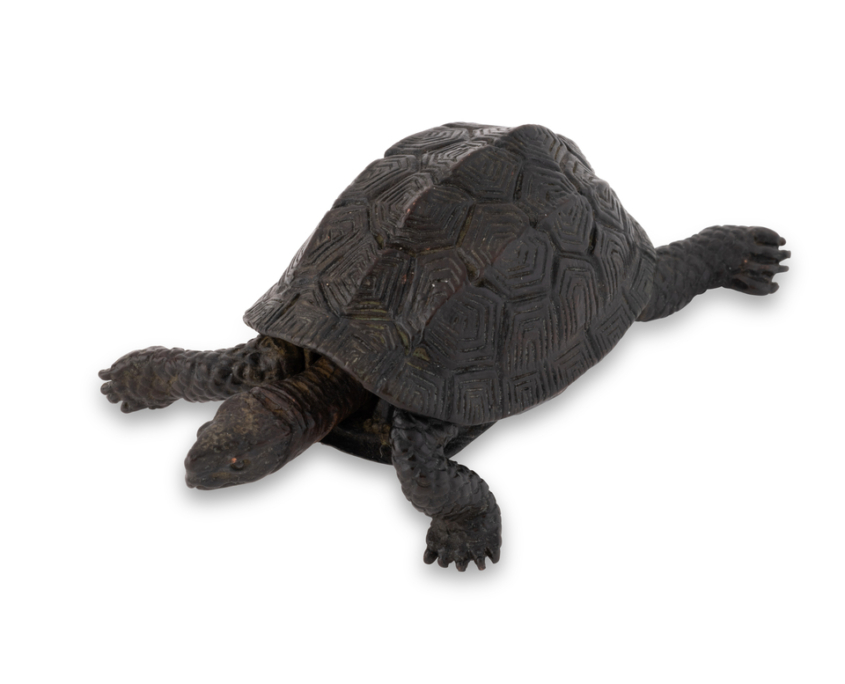 2026-1513 TORTUE BRONZE (1)