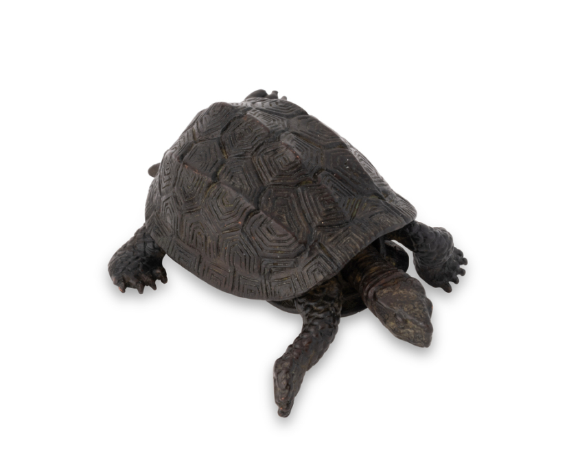 2026-1513 TORTUE BRONZE (2)