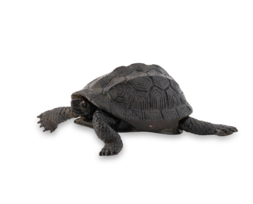 2026-1513 TORTUE BRONZE (3)