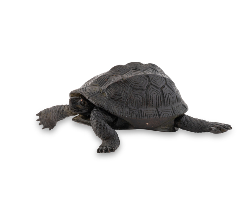 2026-1513 TORTUE BRONZE (3)