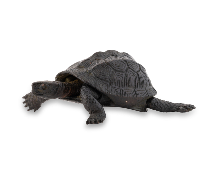2026-1513 TORTUE BRONZE (4)