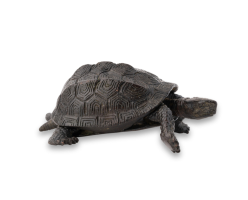 2026-1513 TORTUE BRONZE (5)