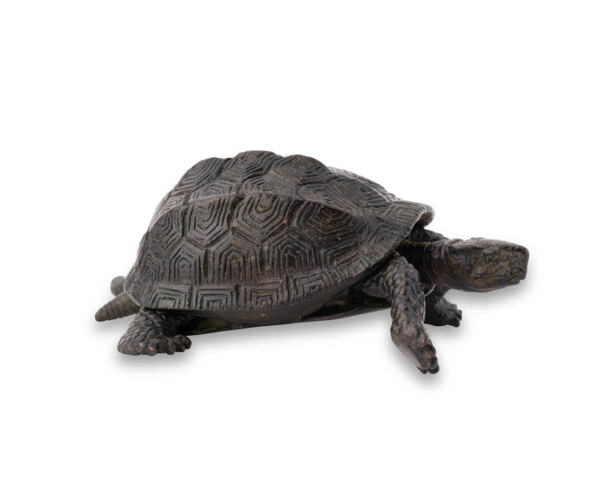 2026-1513 TORTUE BRONZE (5)