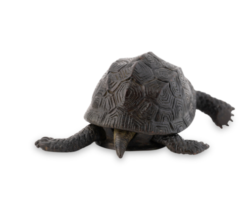 2026-1513 TORTUE BRONZE (6)