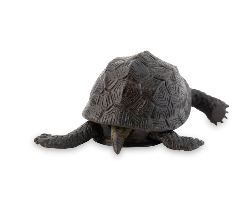 2026-1513 TORTUE BRONZE (6)