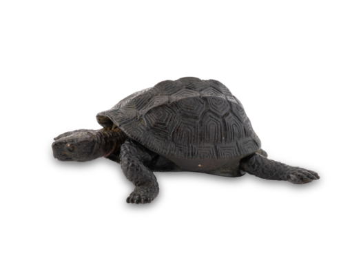 2026-1513 TORTUE BRONZE (7)