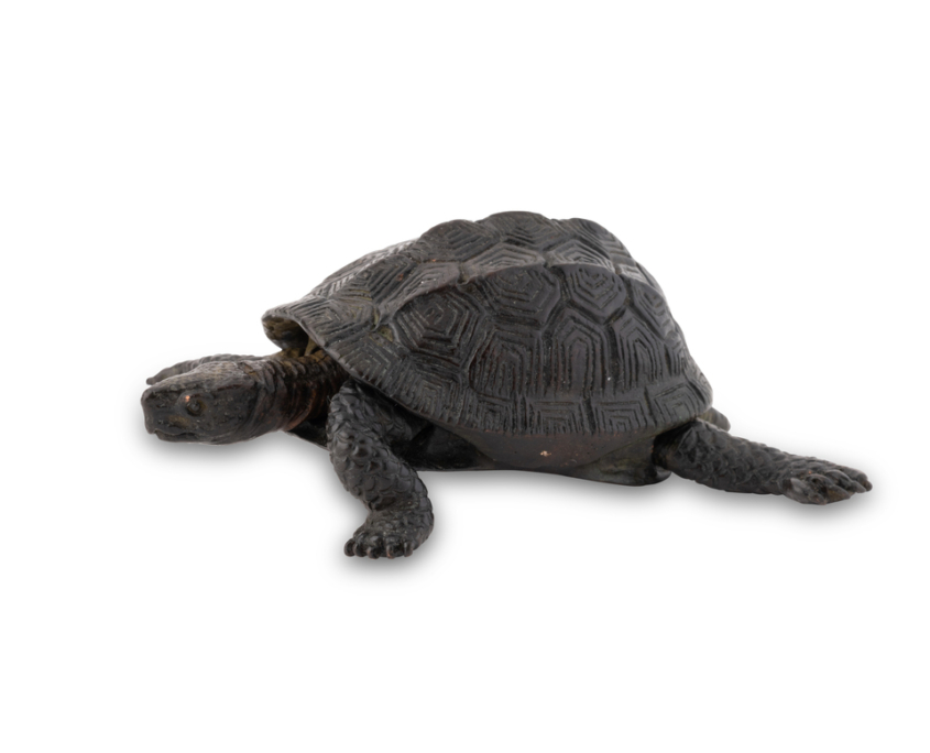 2026-1513 TORTUE BRONZE (7)