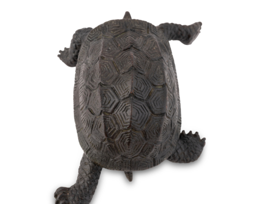 2026-1513 TORTUE BRONZE (8)