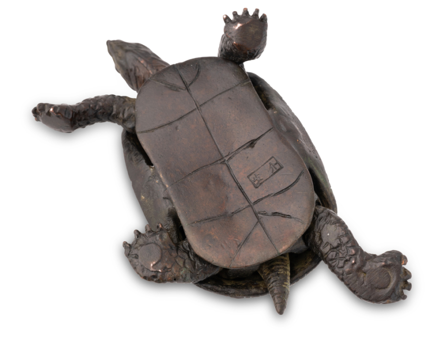 2026-1513 TORTUE BRONZE (9)
