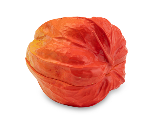 2026-1473 KOGO PHYSALIS (2)