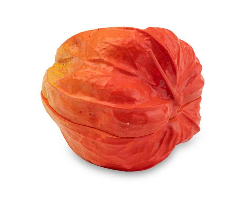2026-1473 KOGO PHYSALIS (2)