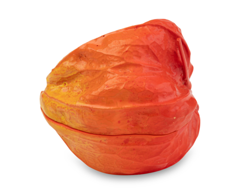 2026-1473 KOGO PHYSALIS (3)
