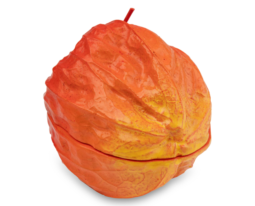 2026-1473 KOGO PHYSALIS (4)