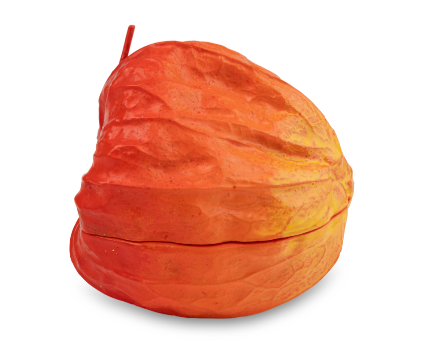 2026-1473 KOGO PHYSALIS (5)