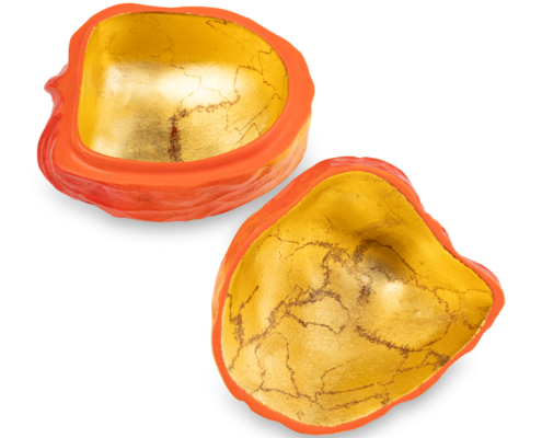 2026-1473 KOGO PHYSALIS (6)